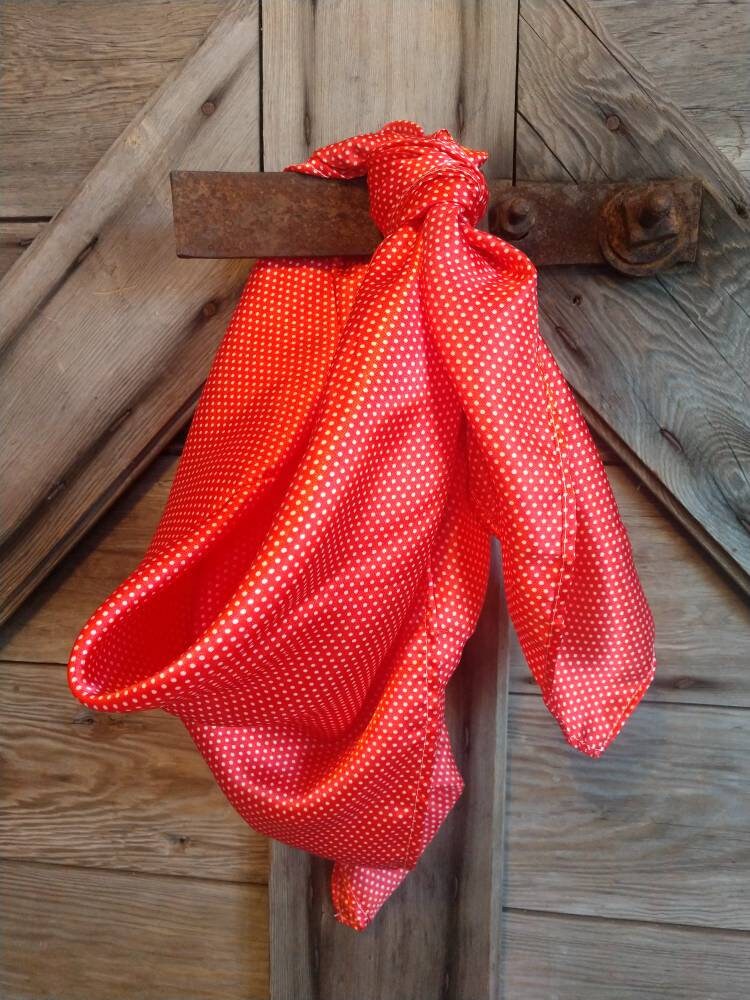 Wild Rag Red Tiny Polka Dot Cowboy Western Neck Scarf Bandanna by Double B Wild Rags