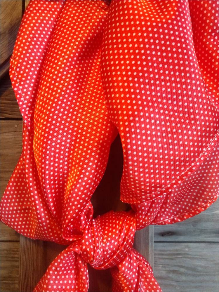 Wild Rag Red Tiny Polka Dot Cowboy Western Neck Scarf Bandanna by Double B Wild Rags