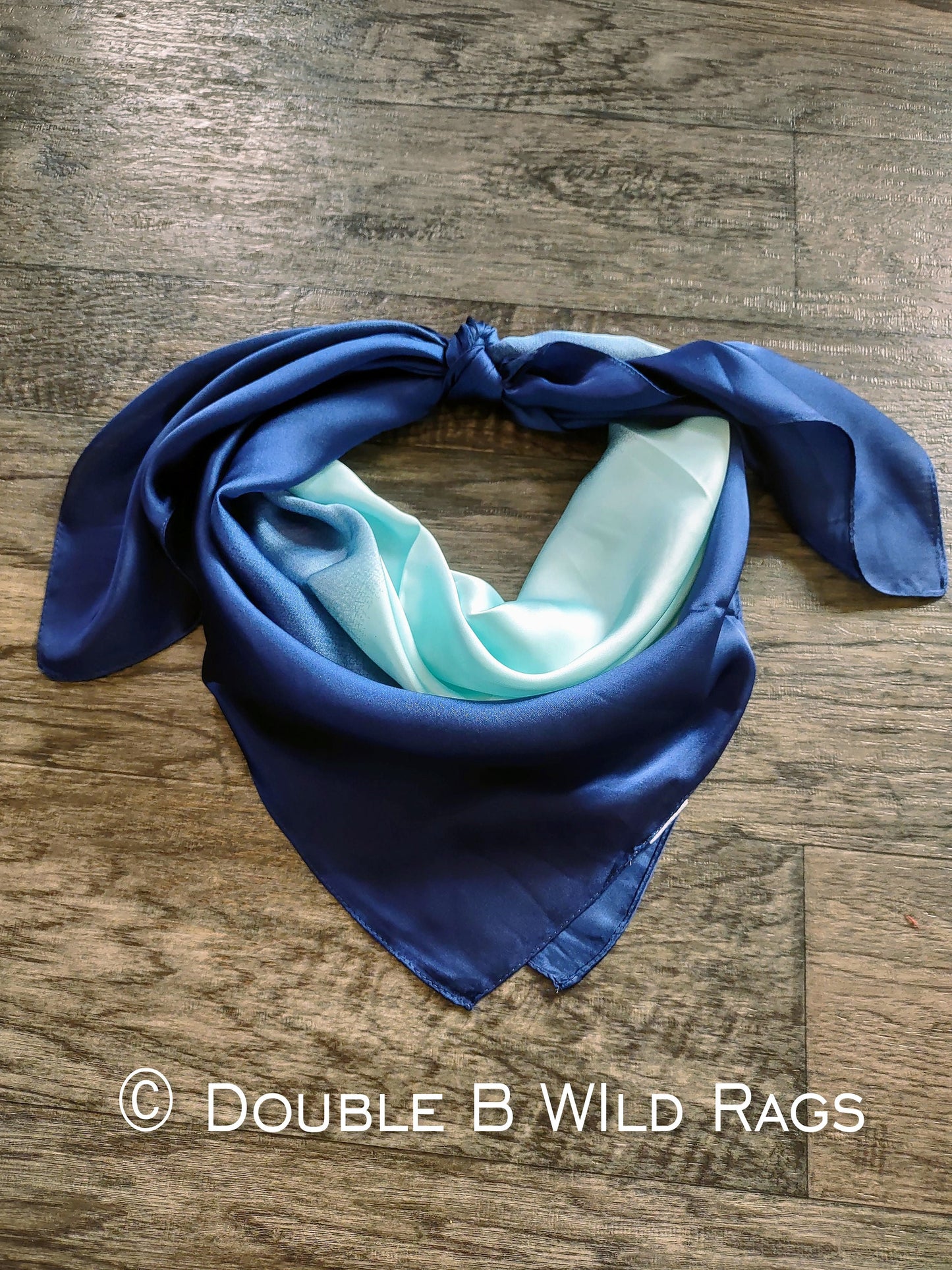 Wild Rag BARGAIN CORNER MISC 422 Gradient Ombre Cowboy Western Neck Scarf by Double B Wild Rags