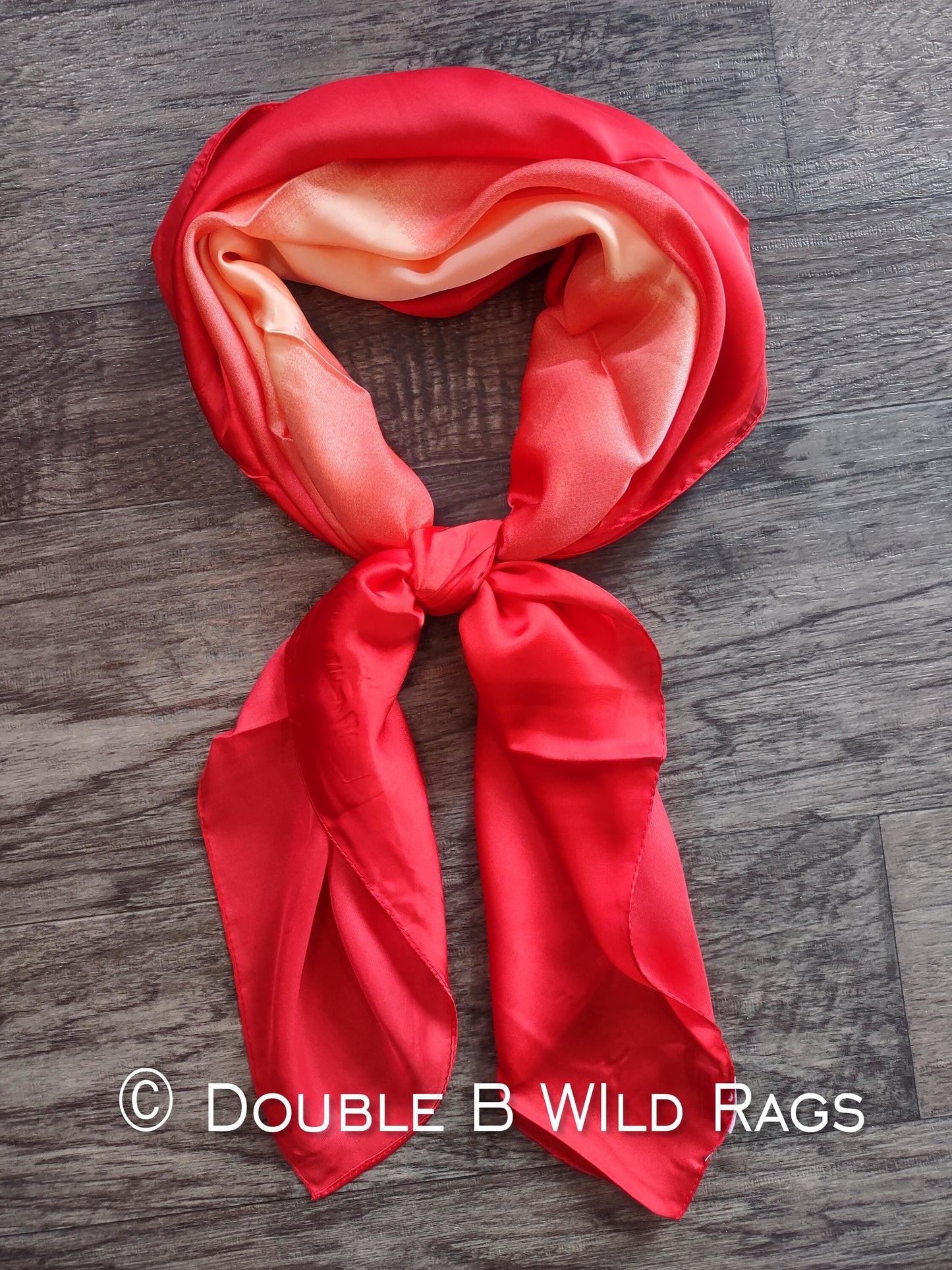 Wild Rag BARGAIN CORNER MISC 422 Gradient Ombre Cowboy Western Neck Scarf by Double B Wild Rags