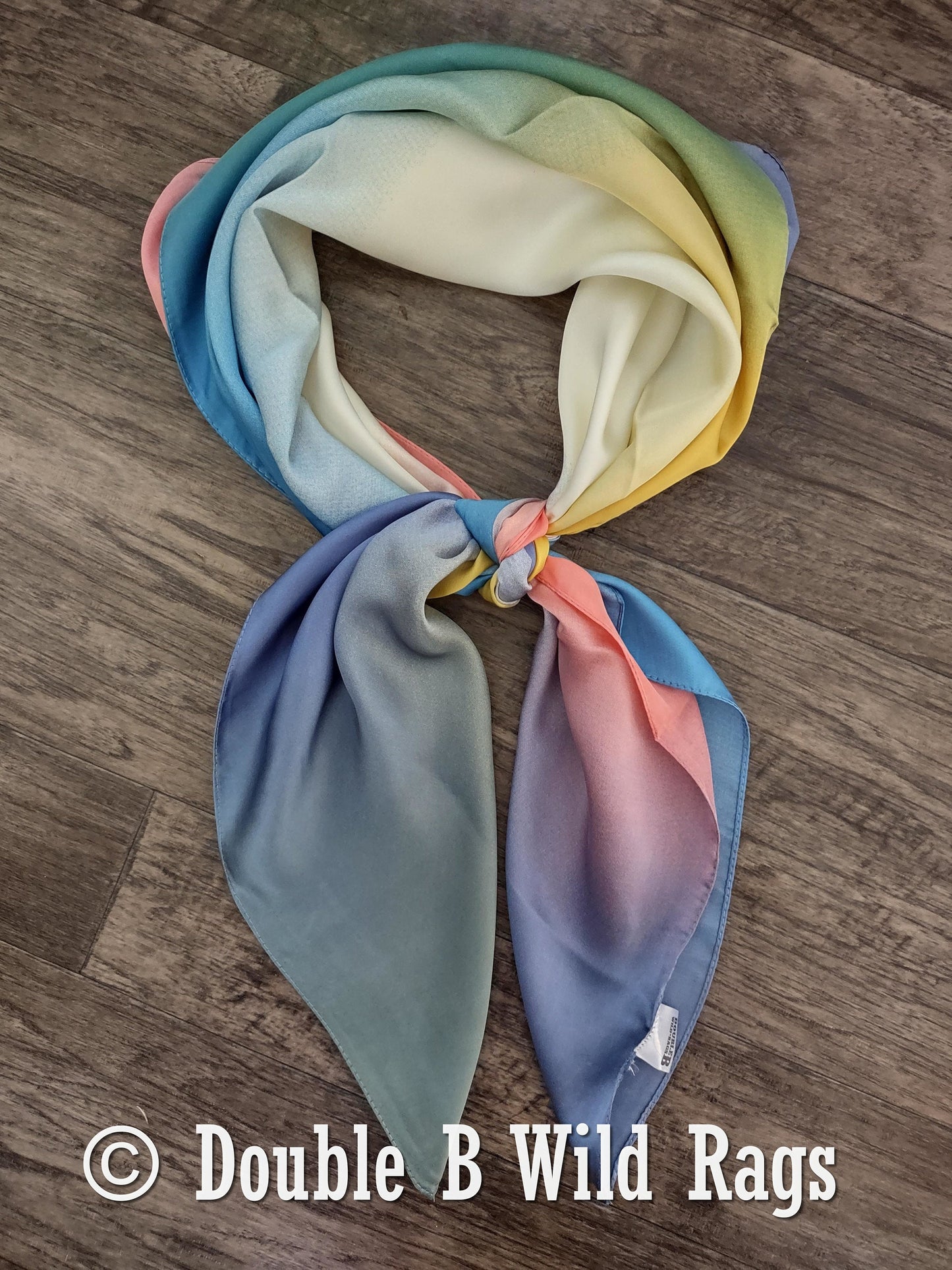 BARGAIN WILD RAG Ombre Blue Pink Yellow and Purple by Double B Wild Rags Bandana Western Neck Scarf Neckerchief