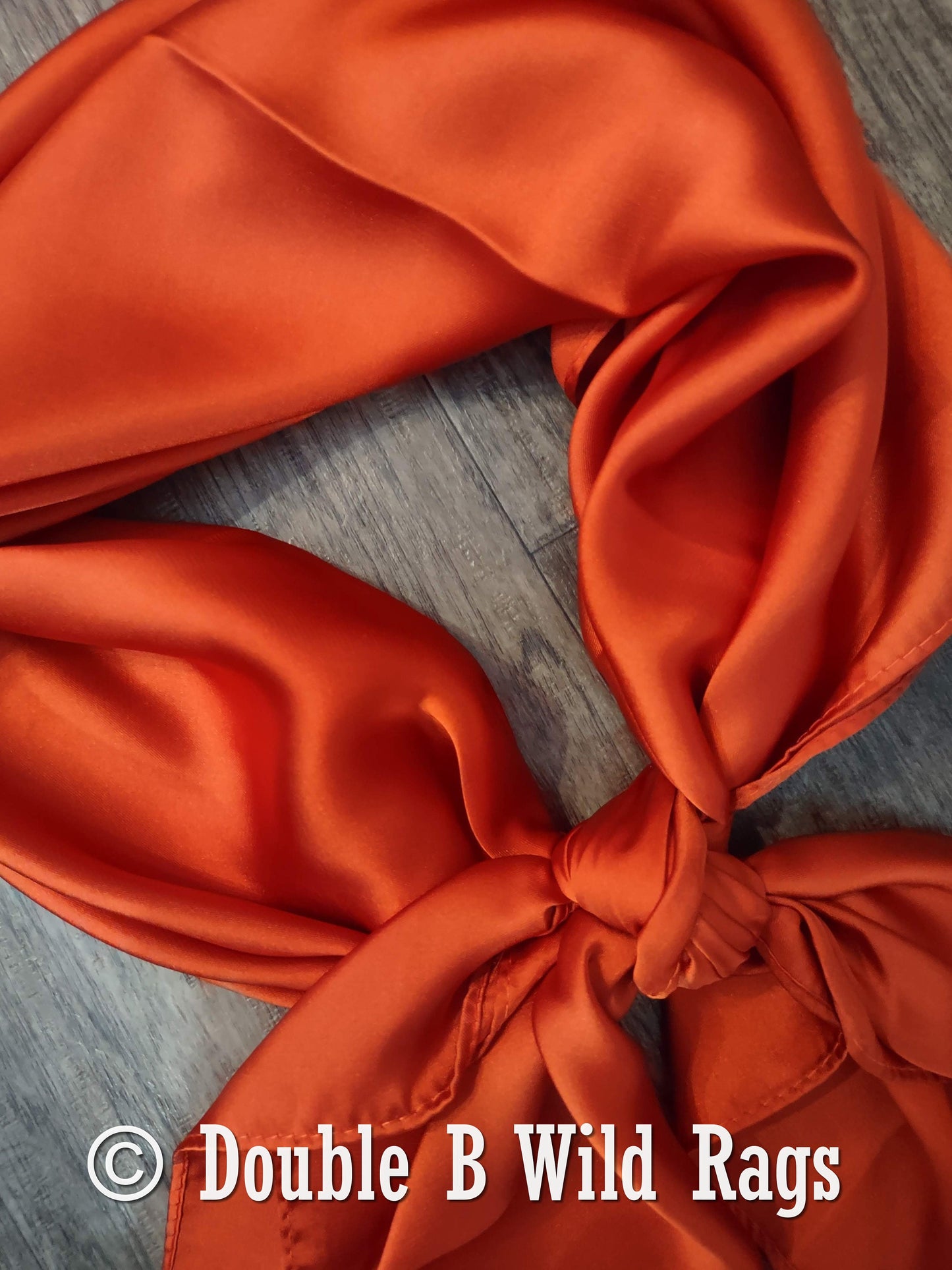 Wild Rag Burnt Sienna Rust Cowboy Western Neck Scarf Bandanna Double b Wild rags