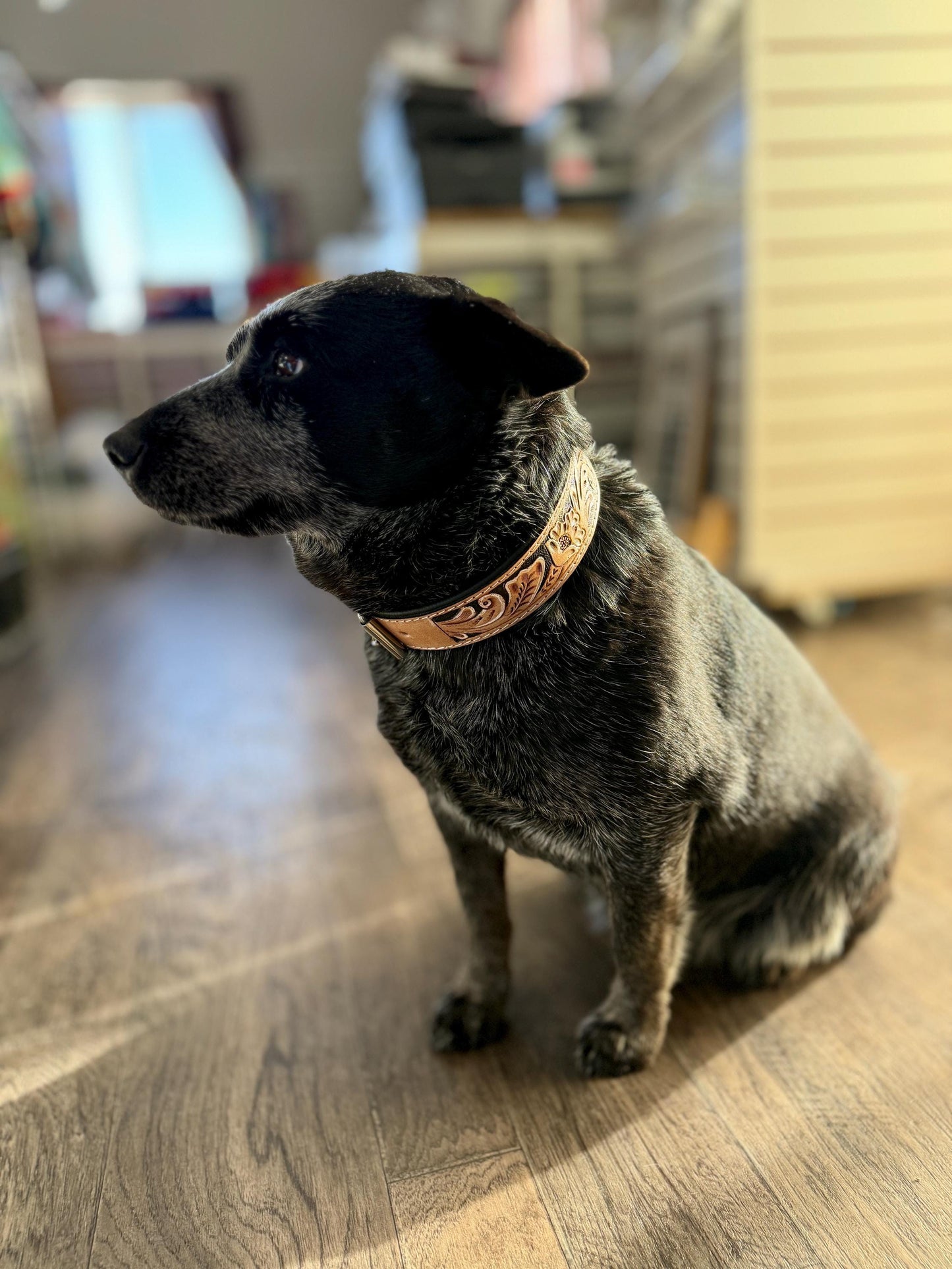 Western tooled leather dog collar or leash with floral details by Double B Wild Rags