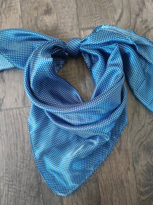 Wild Rag MISC 402 Tiny Pin Polka Dot Blue Cowboy Western Neck Scarf Bandanna by Double B Wild Rags