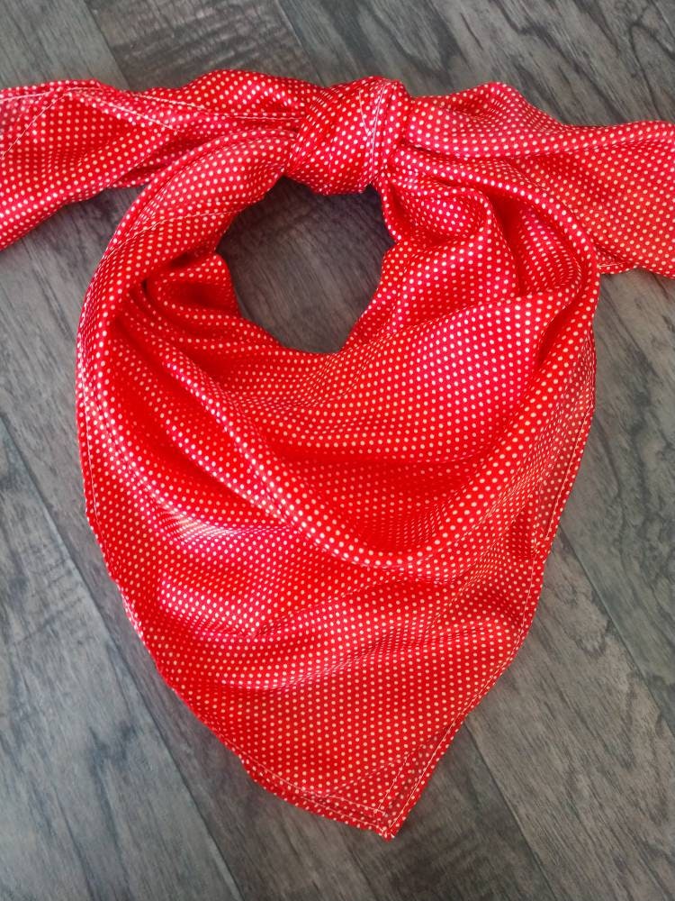 Wild Rag Red Tiny Polka Dot Cowboy Western Neck Scarf Bandanna by Double B Wild Rags