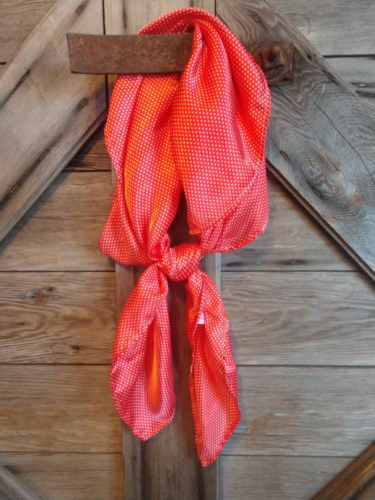 Wild Rag Red Tiny Polka Dot Cowboy Western Neck Scarf Bandanna by Double B Wild Rags